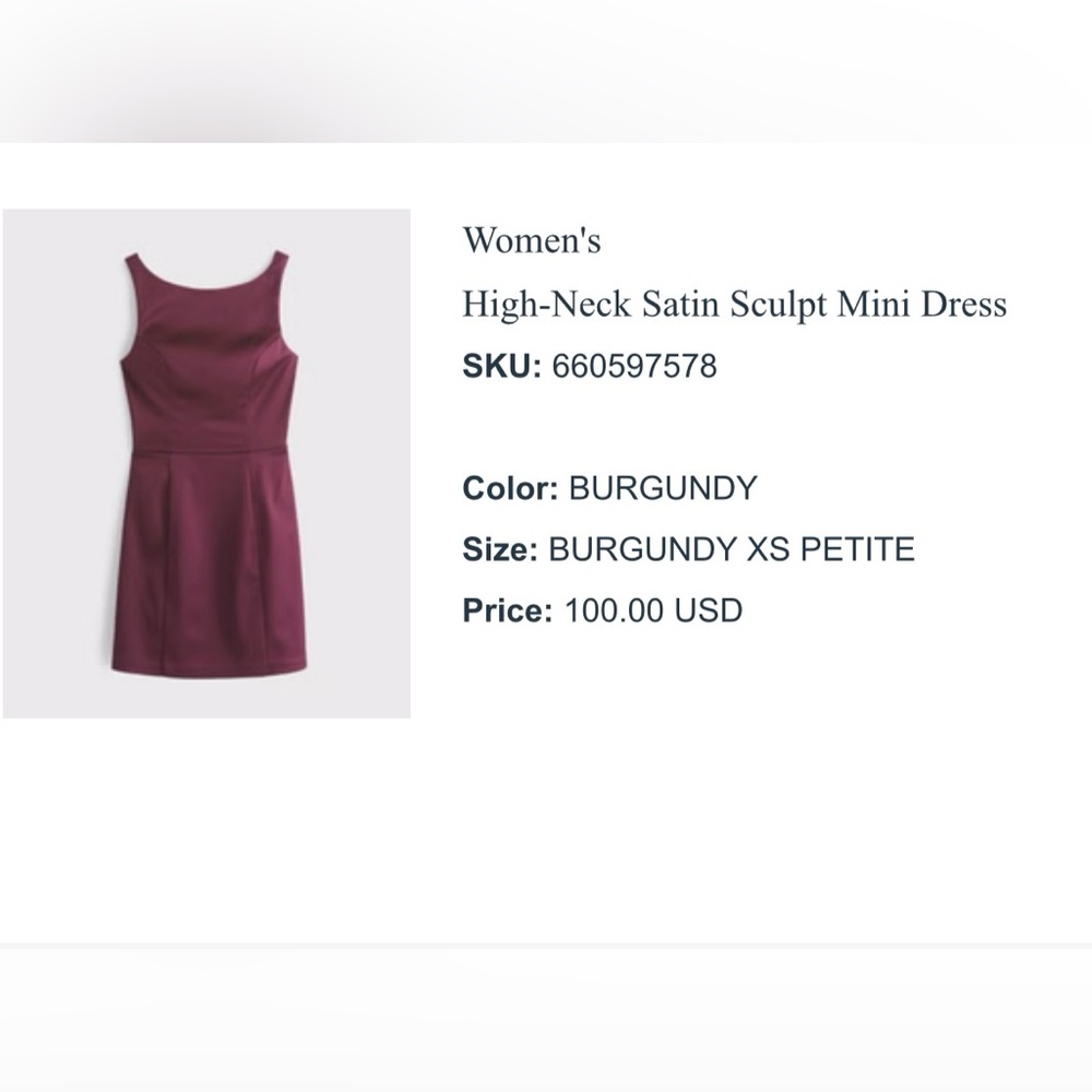 Abercrombie & Fitch Deep Burgundy Satin Mini Dress